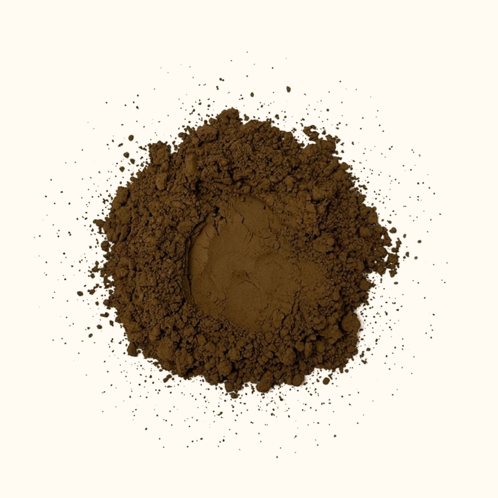 Hojicha Pulver Medium  roast Nahaufnahme – warmes braunes Aroma aus Kagoshima Japan
