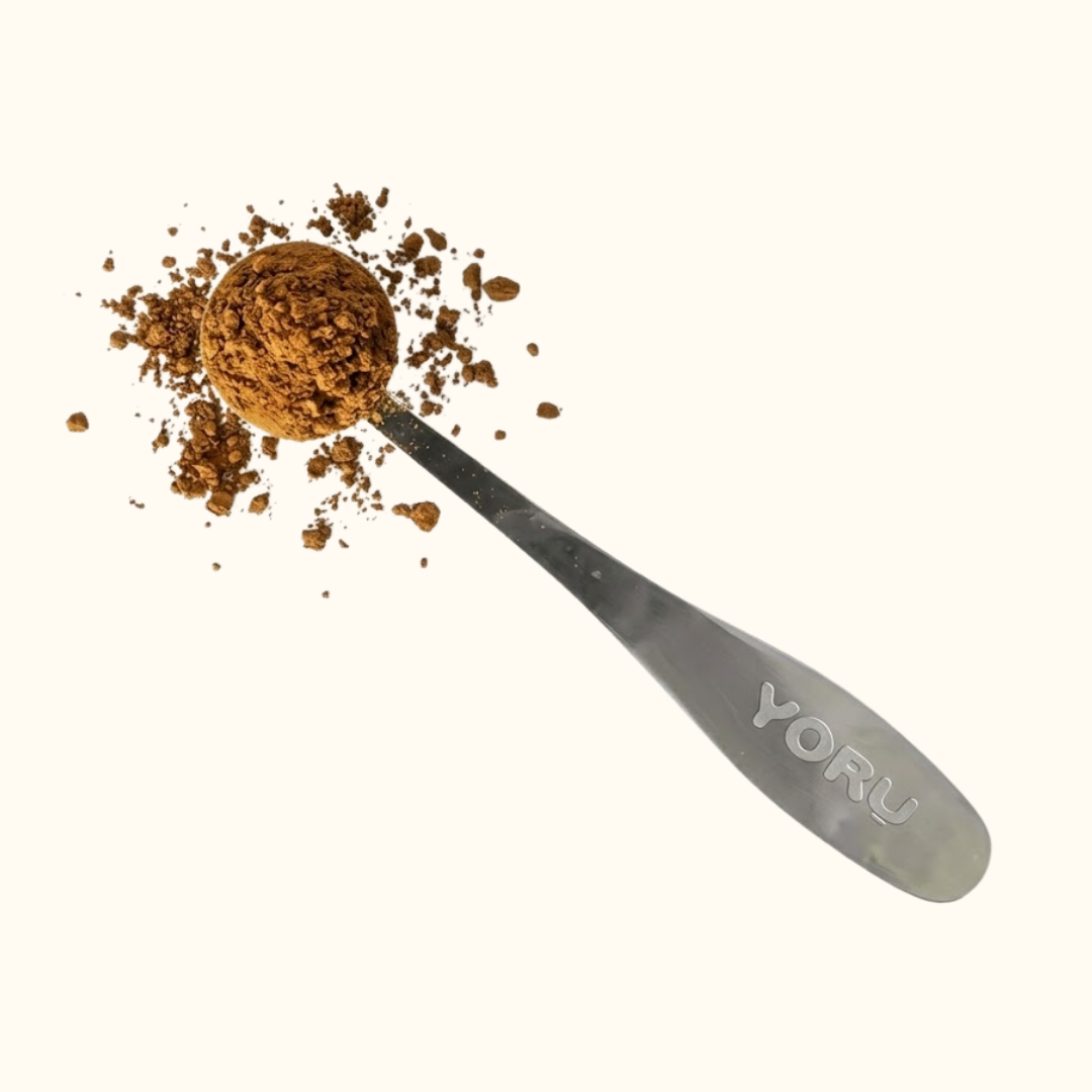 Hojicha Pulver wird mit YORUCHA Edelstahl Messlöffel abgemessen – 2 TL Dosierung