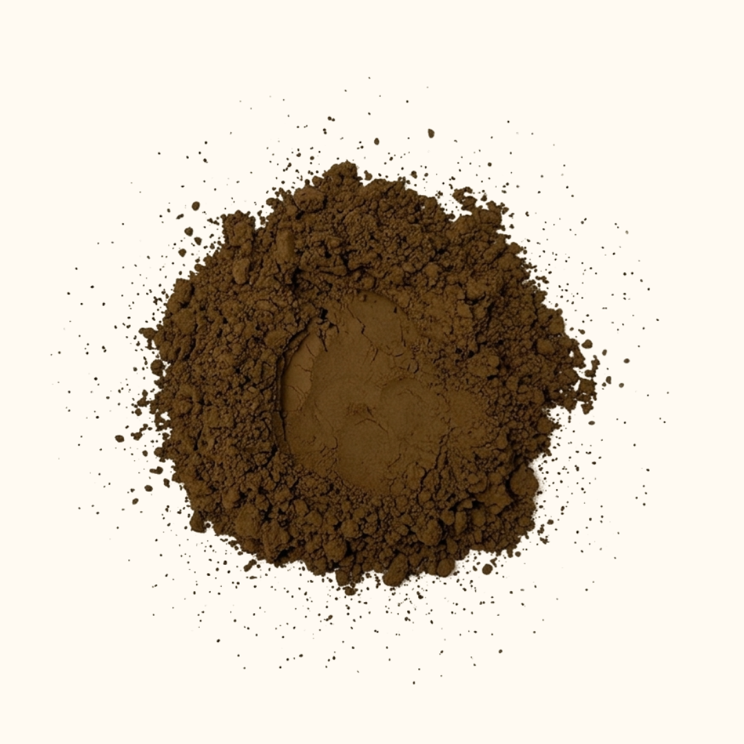 Hojicha Pulver Medium roast Nahaufnahme – warmes braunes Aroma aus Kagoshima Japan
