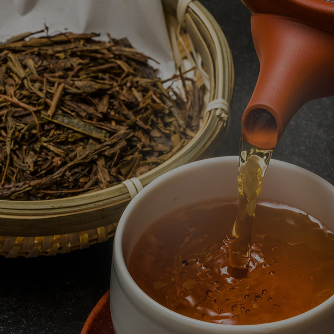 Klassischer Hojicha Teeaufguss aus losen Teeblättern – YORUCHA Shizuoka Japan
